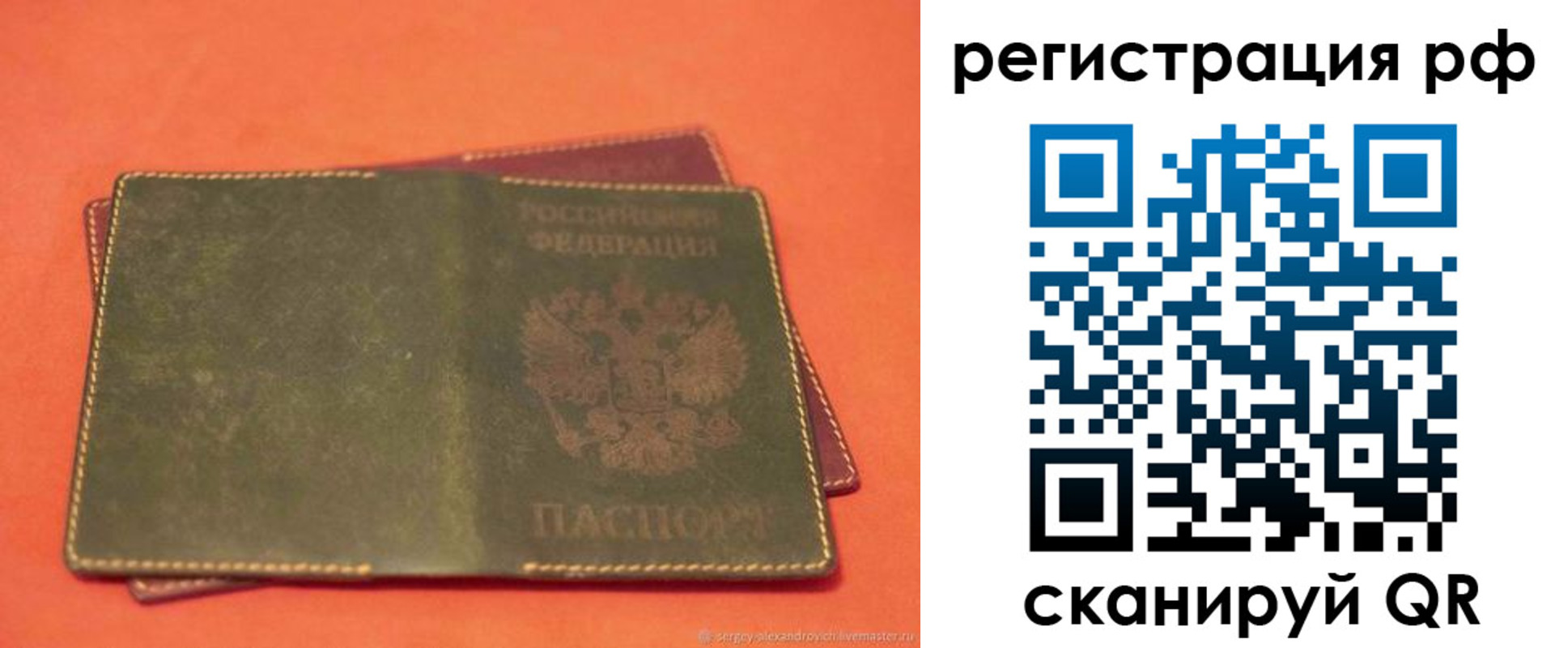 прописка 2025 в Новозыбкове
